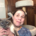 A woman holding a siamese cat in front of a cat tree.