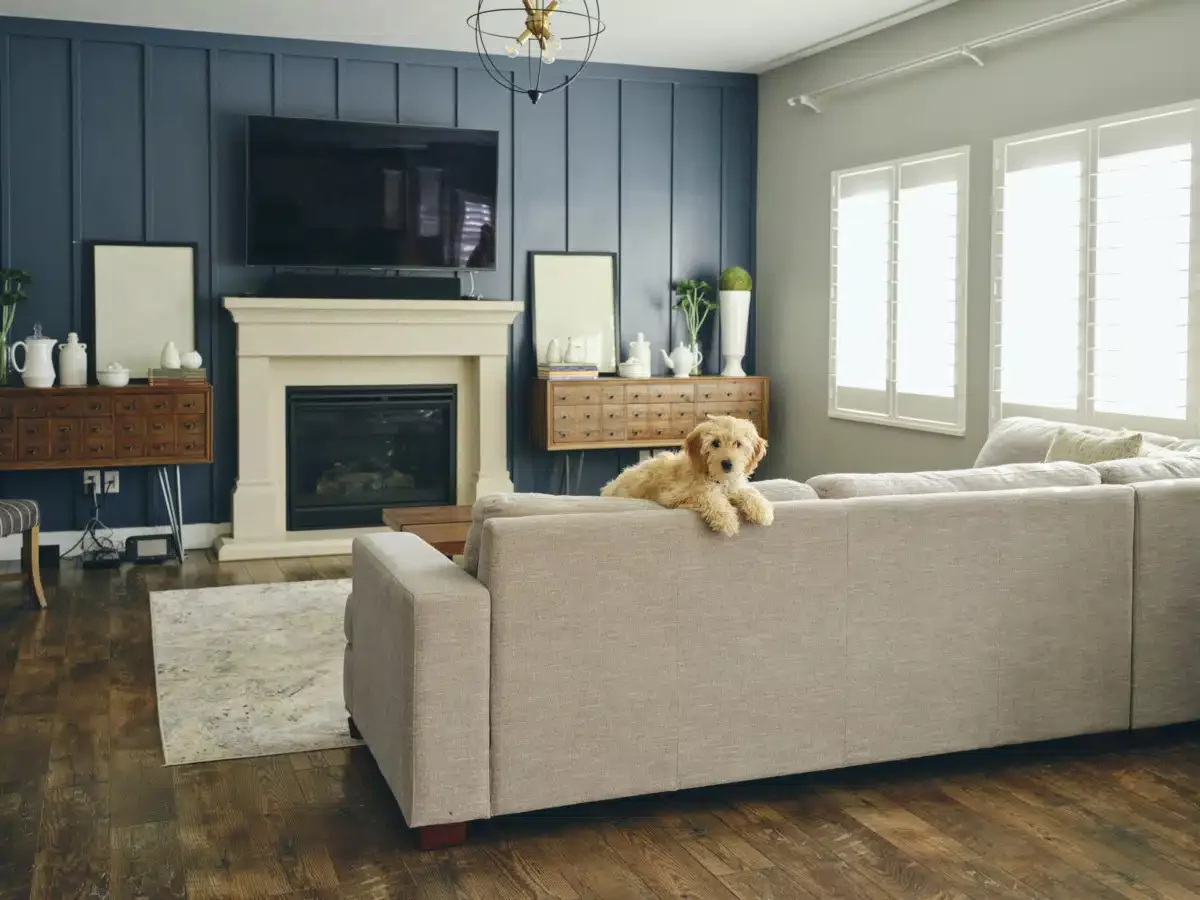 A dog sits on top of a couch in a living room.